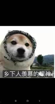 眼神杀表情包,眼神杀！揭秘表情包中的神秘魅力